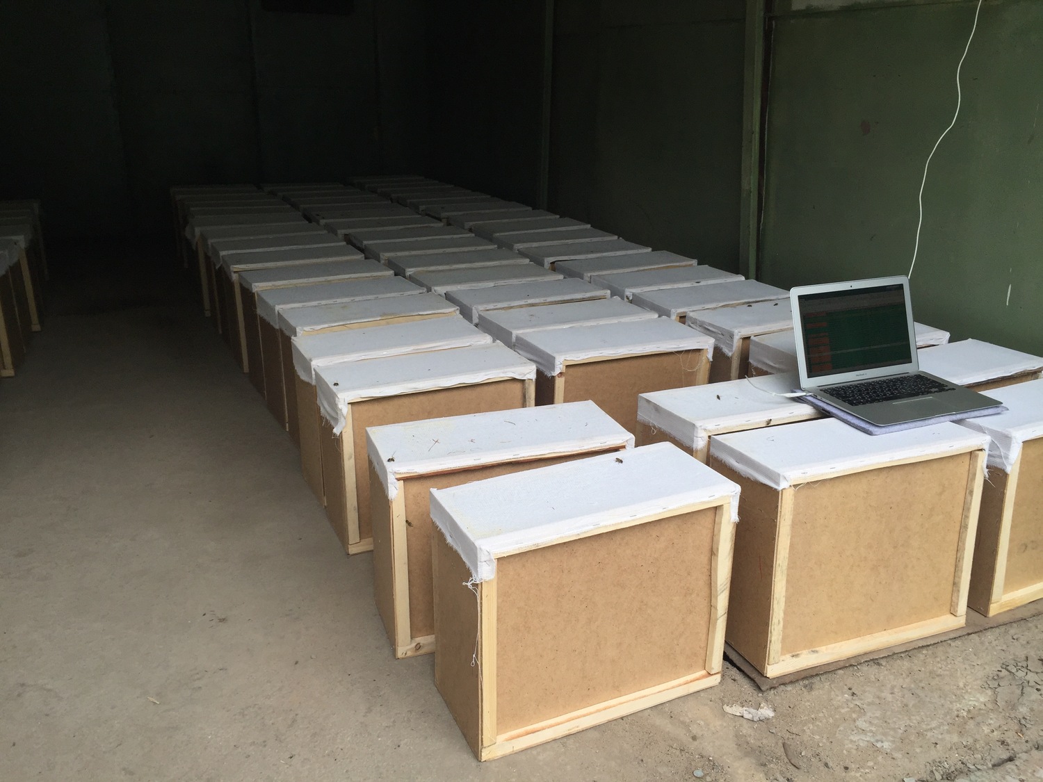 <span style="font-weight: bold;">ПЧеЛОПАКЕТ</span>